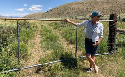 Kathleen Curry, owner of Peterson Ranch in Gunnison County, stands by a fence on her ranch on a breezy summer day. Peterson Ranch has an agreement to temporarily loan its agricultural water to the state’s instream flow program for the benefit of Tomichi Creek.