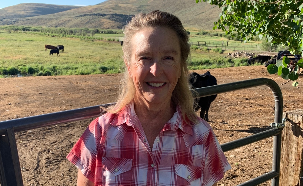 Curry Announces For House District 58 (Montrose Press)
