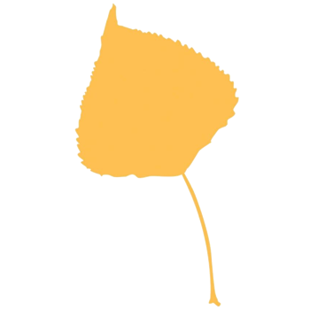 Aspen Journalism